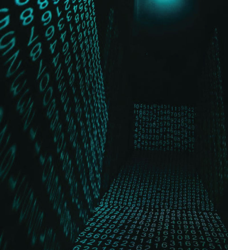 IMGX-202